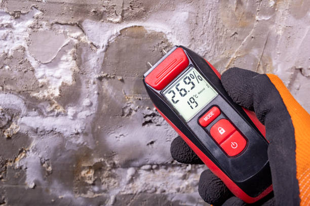 Reliable Union Springs, NY Mold Removal Solutions