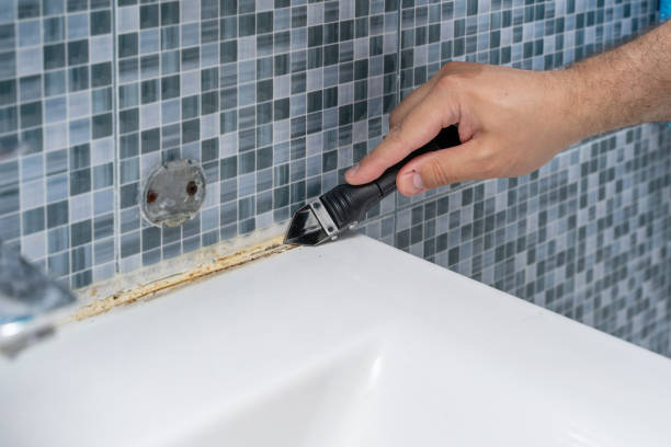 Best Mold Testing  in Union Springs, NY